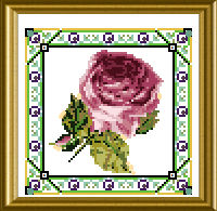CHAT 071 rose