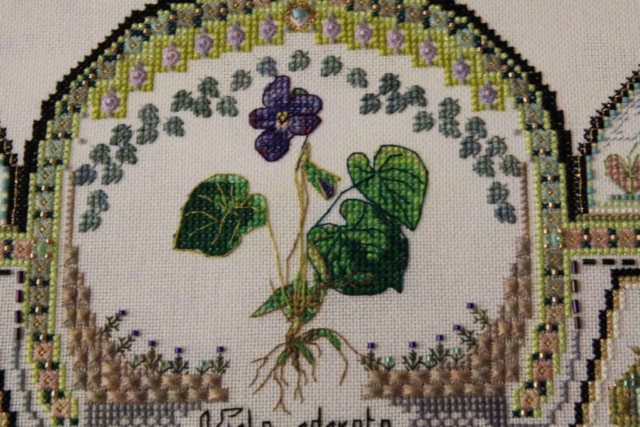Violet Patch 4 Jerri Jimenez